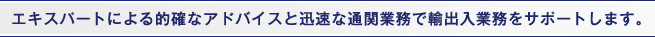 エキスパートによる的確なアドバイスと迅速な通関業務で輸出入業務をサポートします。